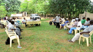 NGO engages herbal medicine producers under its biodiversity project