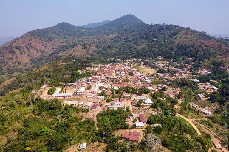 Make Afadzato South a focal point for carbon offsetting – ARDO