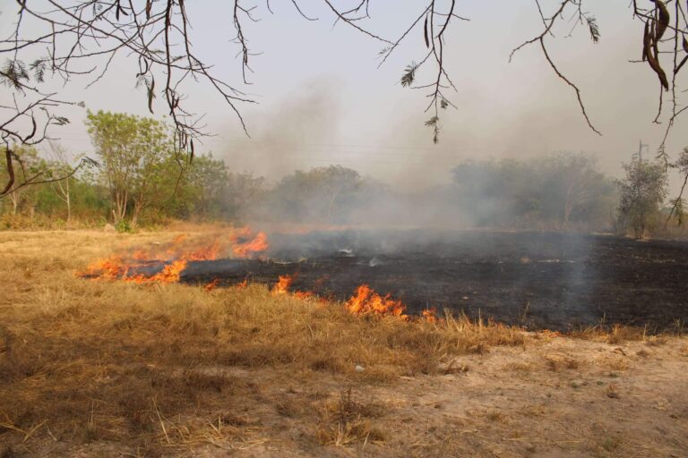 Cross border fire threatens climate change projects in Guan District 