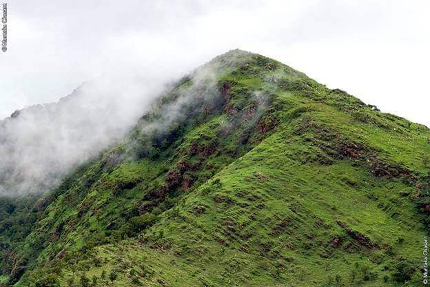 A section of the Akwapim-Togo Ranges near Likpe Todome Photo: Muntaka Chasant