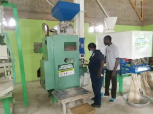 Incubating Commercial Production and Marketing of Organic Indigenous Rice within the Weto Landscape