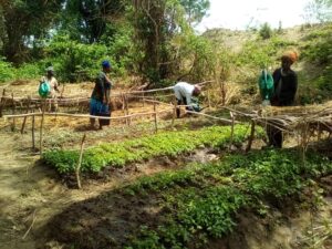 Deepening Environmental Resilience of the Togo Plateau Landscape in the Guan District, Ghana
